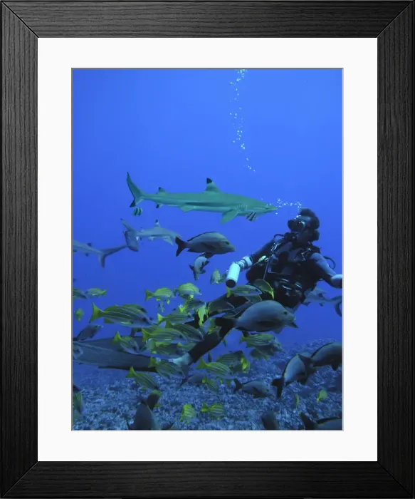 Framed Print : Picture No. 10767932 Framed Print : Picture No. 10767932