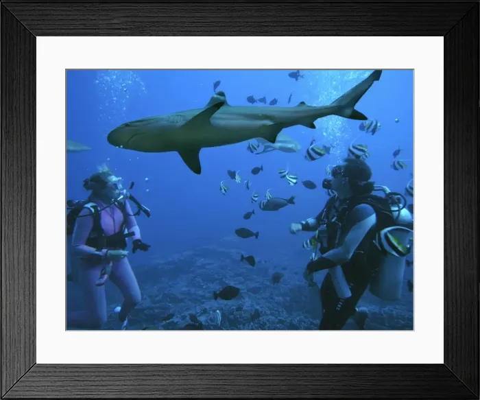 Framed Print : Picture No. 10767934