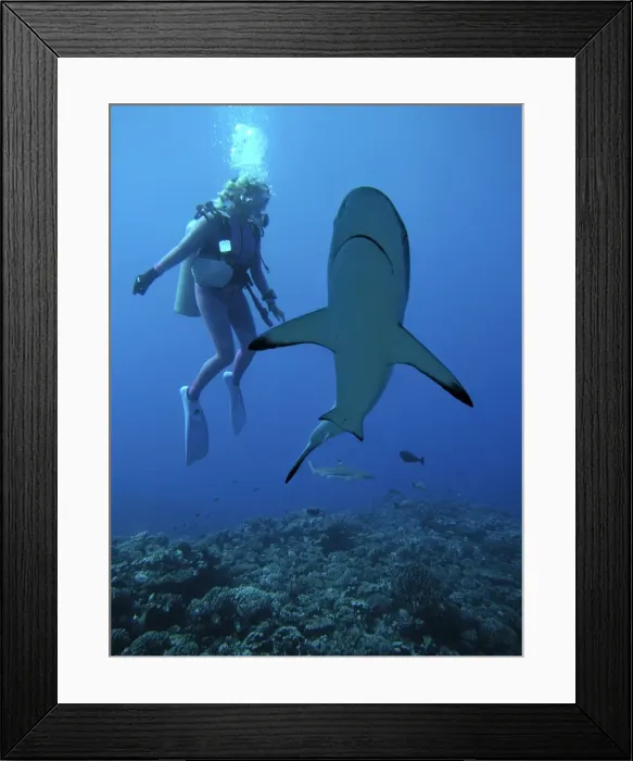 Framed Print : Picture No. 10767935 Framed Print : Picture No. 10767935