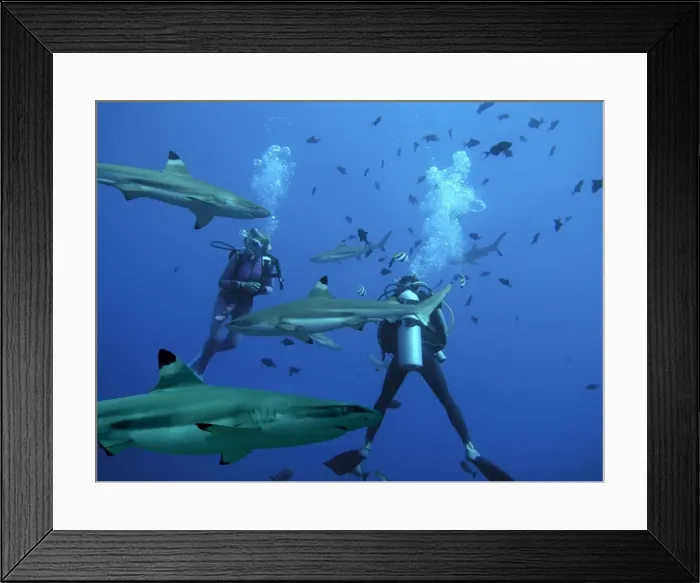 Framed Print : Picture No. 10767930 Framed Print : Picture No. 10767930