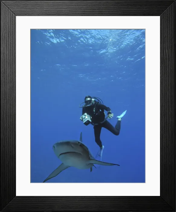 Framed Print : Picture No. 10767937 Framed Print : Picture No. 10767937