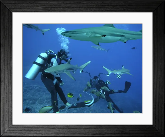 Framed Print : Picture No. 10767936 Framed Print : Picture No. 10767936