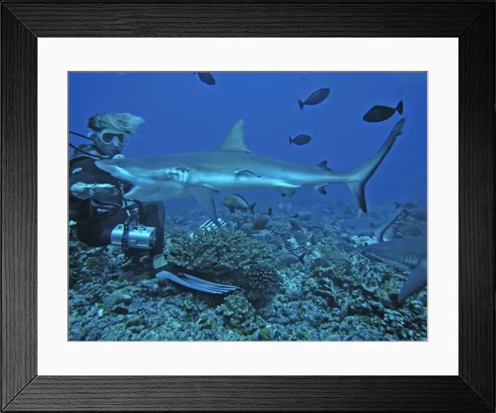 Framed Print : Picture No. 10767946 Framed Print : Picture No. 10767946