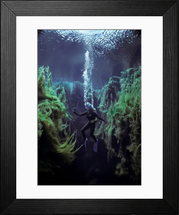 Framed Print : Picture No. 10767917 Framed Print : Picture No. 10767917