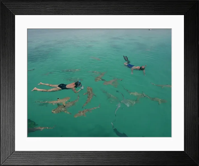 Framed Print : Picture No. 10767957 Framed Print : Picture No. 10767957