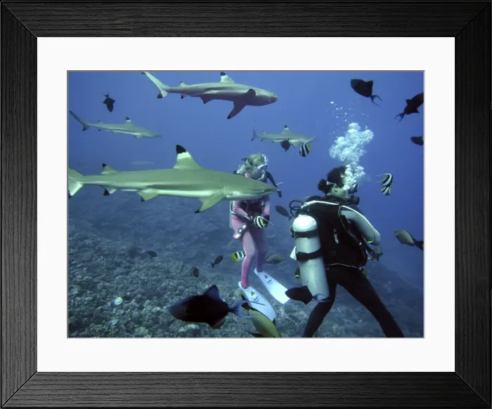 Framed Print : Picture No. 10767971 Framed Print : Picture No. 10767971