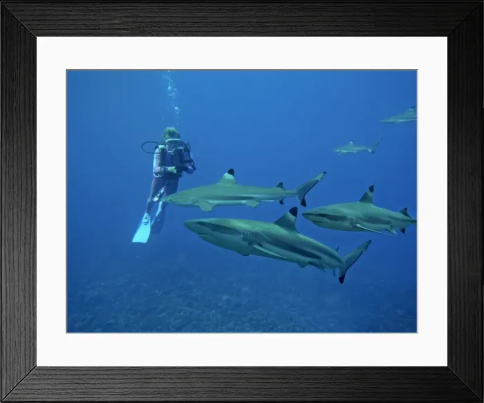 Framed Print : Picture No. 10767972 Framed Print : Picture No. 10767972