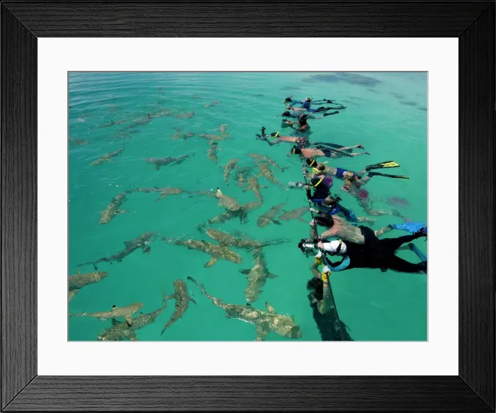 Framed Print : Picture No. 10767953 Framed Print : Picture No. 10767953