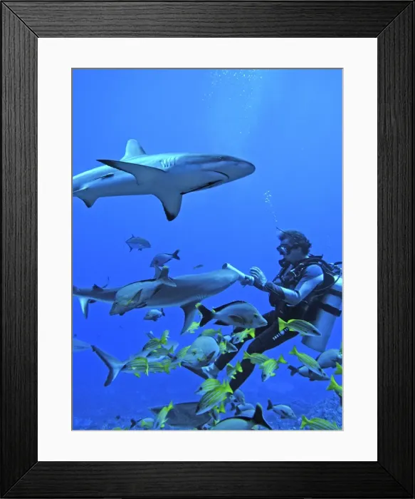 Framed Print : Picture No. 10767977 Framed Print : Picture No. 10767977