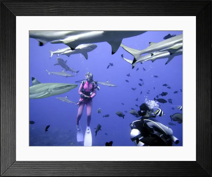 Framed Print : Picture No. 10767970 Framed Print : Picture No. 10767970