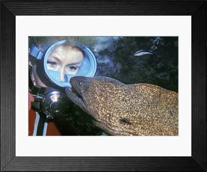 Framed Print : Picture No. 10767997 Framed Print : Picture No. 10767997