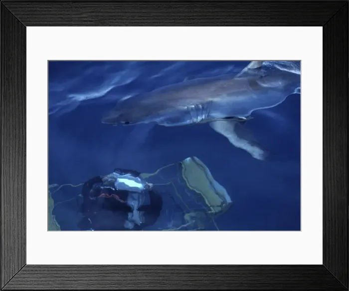 Framed Print : Picture No. 10767978 Framed Print : Picture No. 10767978