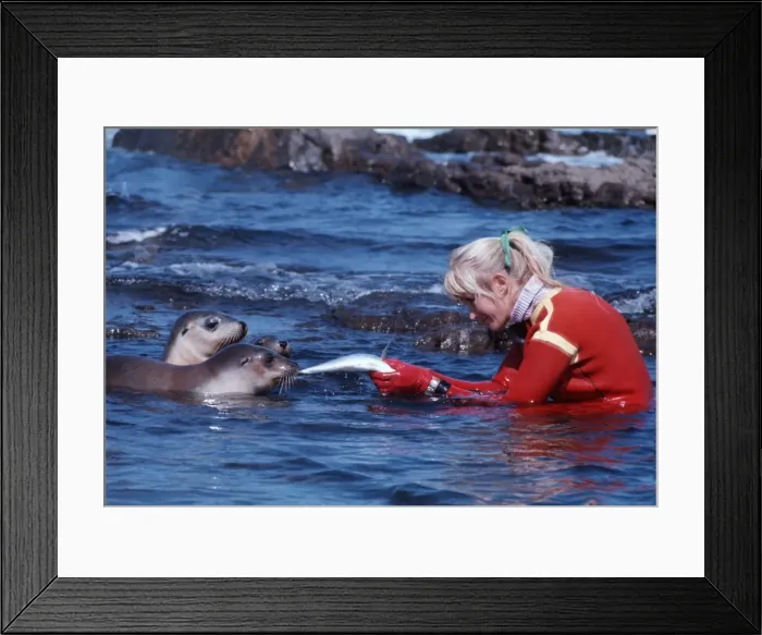 Framed Print : Picture No. 10767998 Framed Print : Picture No. 10767998