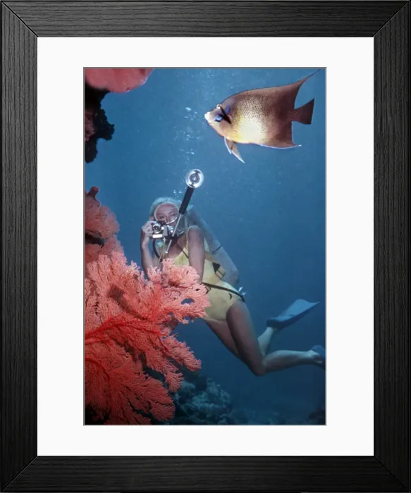 Framed Print : Picture No. 10768001 Framed Print : Picture No. 10768001