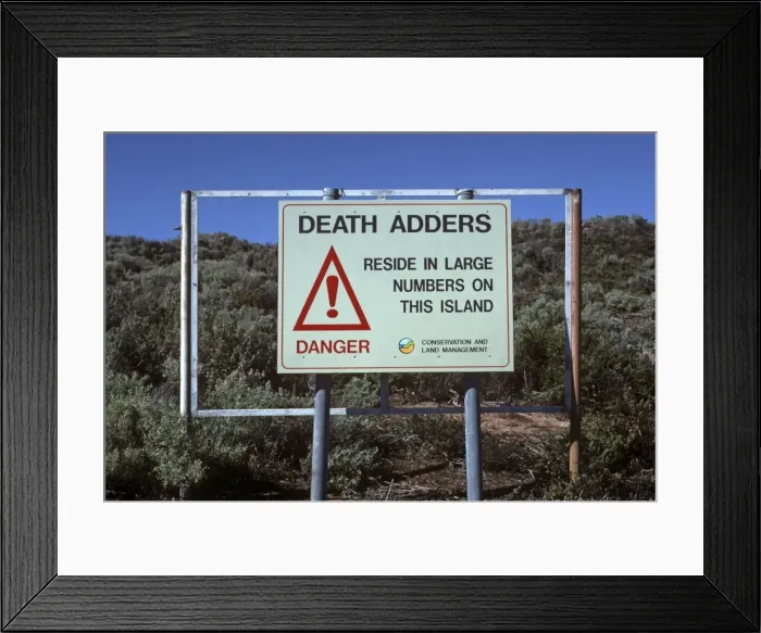 Framed Print : Picture No. 10767996 Framed Print : Picture No. 10767996
