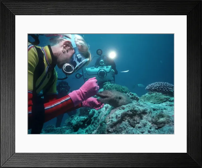Framed Print : Picture No. 10767999 Framed Print : Picture No. 10767999
