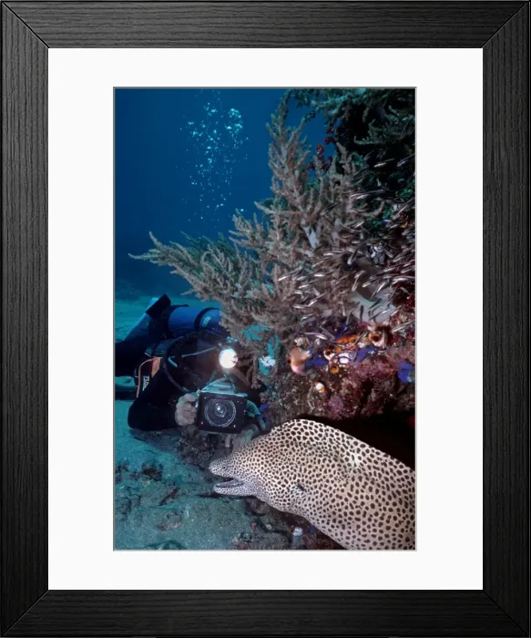 Framed Print : Picture No. 10768012 Framed Print : Picture No. 10768012