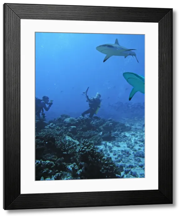 Framed Print : Picture No. 10768031 Framed Print : Picture No. 10768031