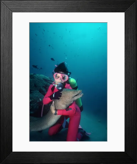 Framed Print : Picture No. 10768013 Framed Print : Picture No. 10768013
