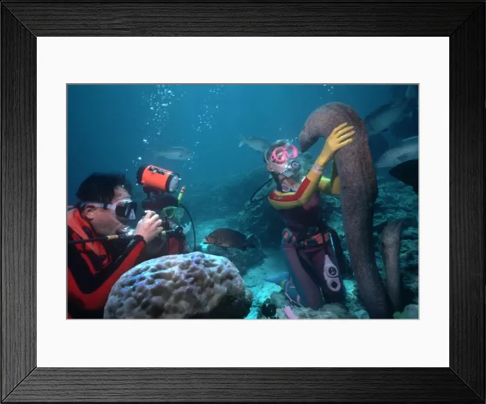 Framed Print : Picture No. 10768015 Framed Print : Picture No. 10768015