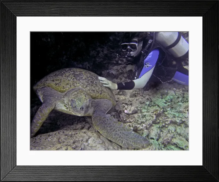 Framed Print : Picture No. 10768109 Framed Print : Picture No. 10768109