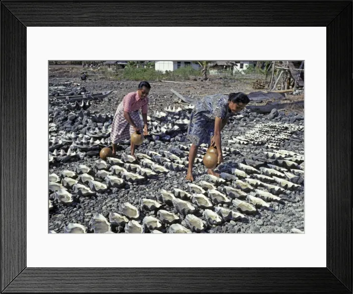 Framed Print : Picture No. 10768154 Framed Print : Picture No. 10768154