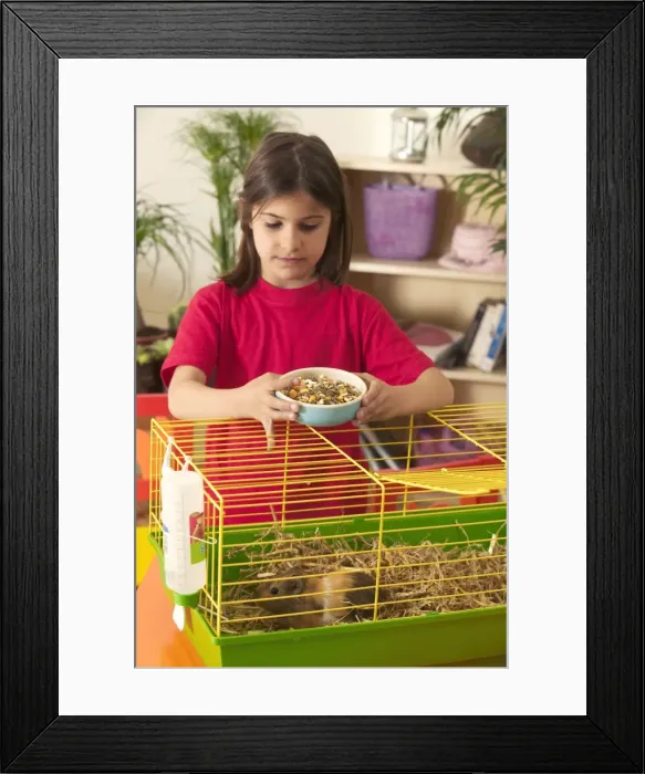 Framed Print : Picture No. 10769030 Framed Print : Picture No. 10769030