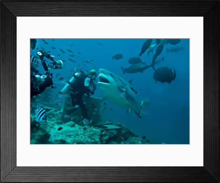 Framed Print : Picture No. 10768221 Framed Print : Picture No. 10768221