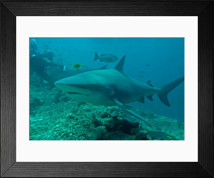 Framed Print : Picture No. 10768180 Framed Print : Picture No. 10768180