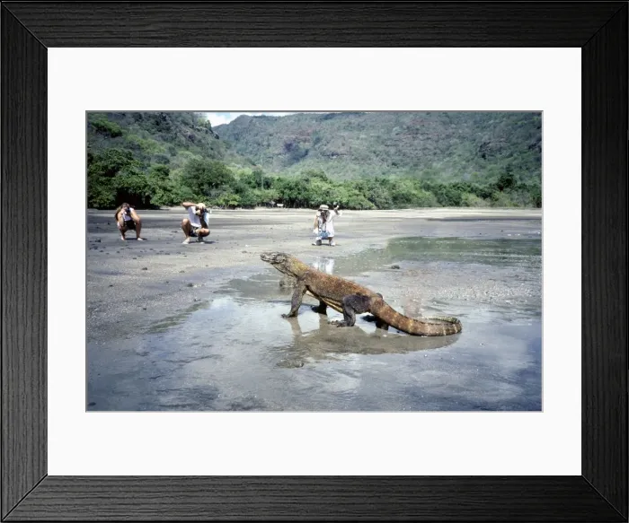 Framed Print : Picture No. 10768151 Framed Print : Picture No. 10768151