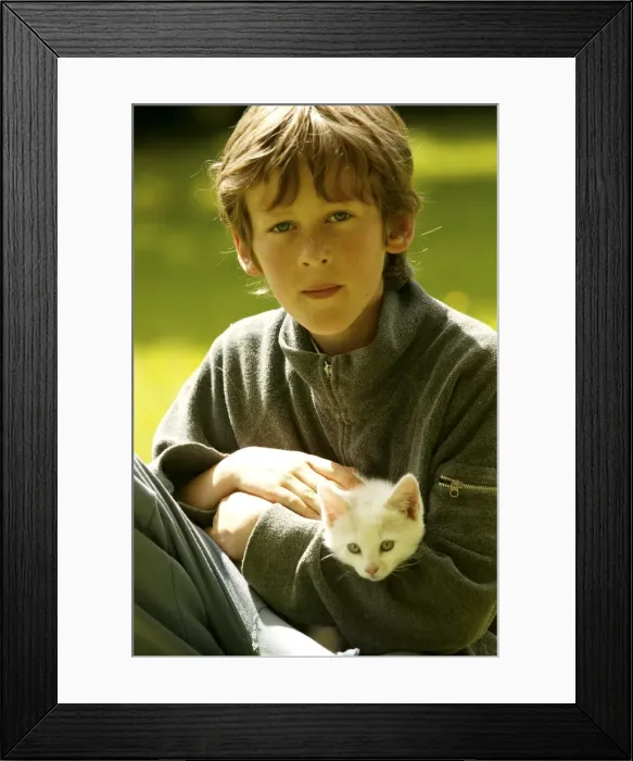 Framed Print : Picture No. 10768334 Framed Print : Picture No. 10768334