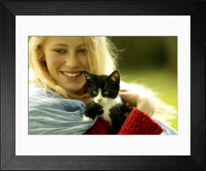 Framed Print : Picture No. 10768339 Framed Print : Picture No. 10768339
