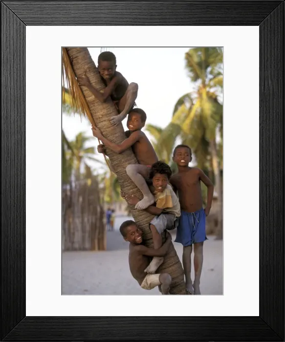 Framed Print : Picture No. 10768391 Framed Print : Picture No. 10768391