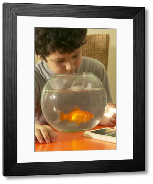 Framed Print : Picture No. 10768347 Framed Print : Picture No. 10768347