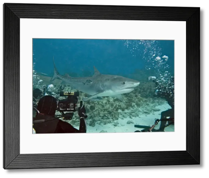 Framed Print : Picture No. 10768285 Framed Print : Picture No. 10768285