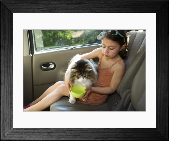 Framed Print : Picture No. 10768507 Framed Print : Picture No. 10768507