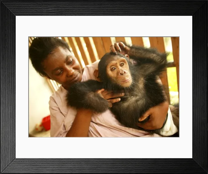 Framed Print : Picture No. 10768638
