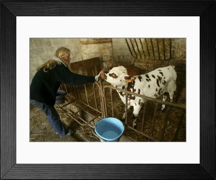 Framed Print : Picture No. 10768535 Framed Print : Picture No. 10768535