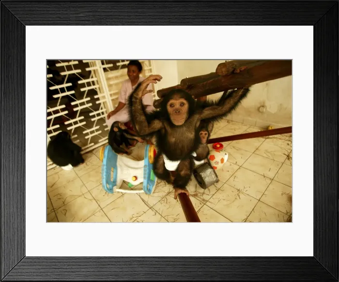 Framed Print : Picture No. 10768637 Framed Print : Picture No. 10768637