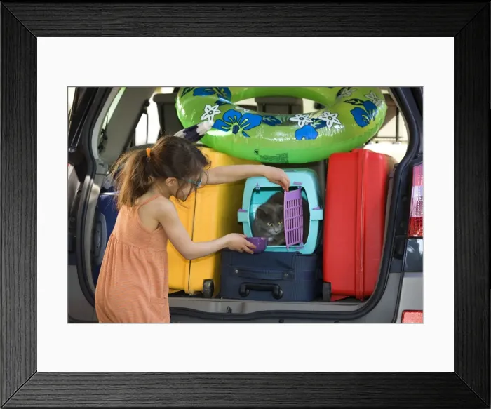 Framed Print : Picture No. 10768506 Framed Print : Picture No. 10768506