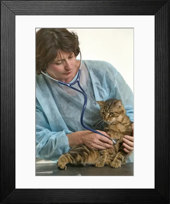 Framed Print : Picture No. 10768662 Framed Print : Picture No. 10768662