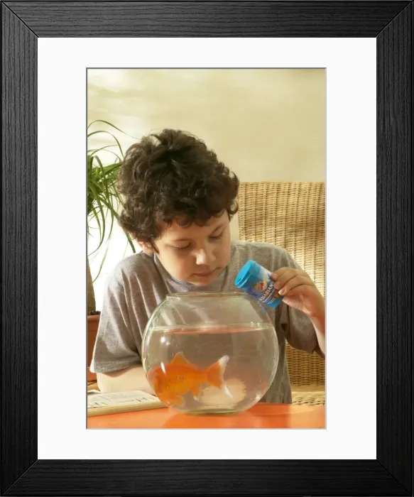 Framed Print : Picture No. 10768665 Framed Print : Picture No. 10768665