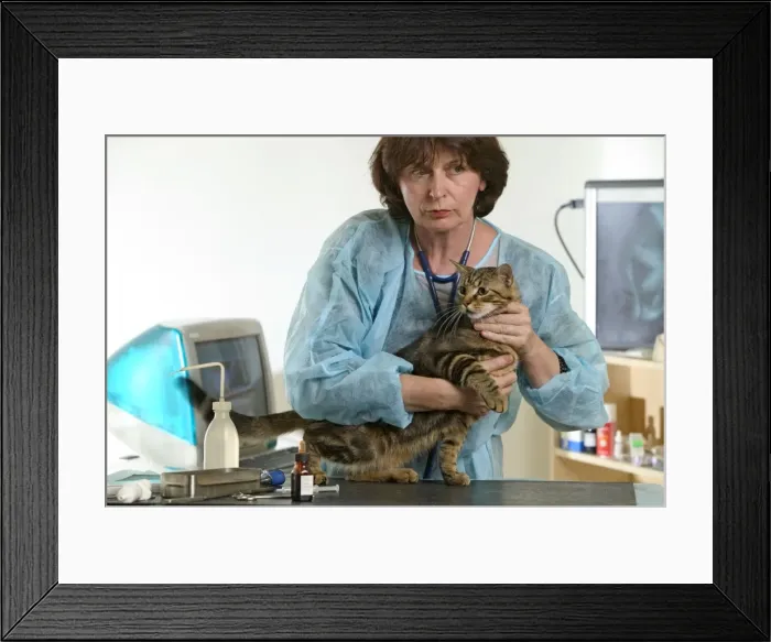 Framed Print : Picture No. 10768664 Framed Print : Picture No. 10768664