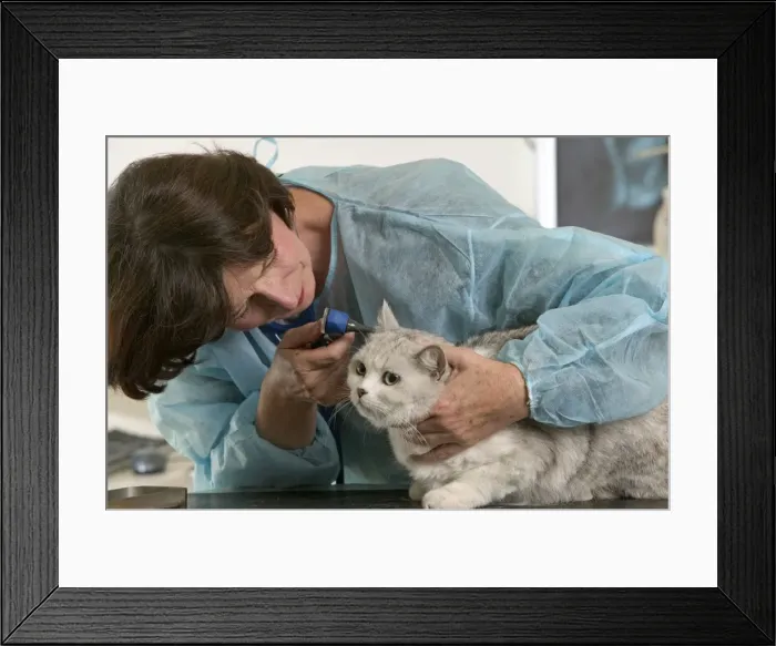 Framed Print : Picture No. 10768660 Framed Print : Picture No. 10768660