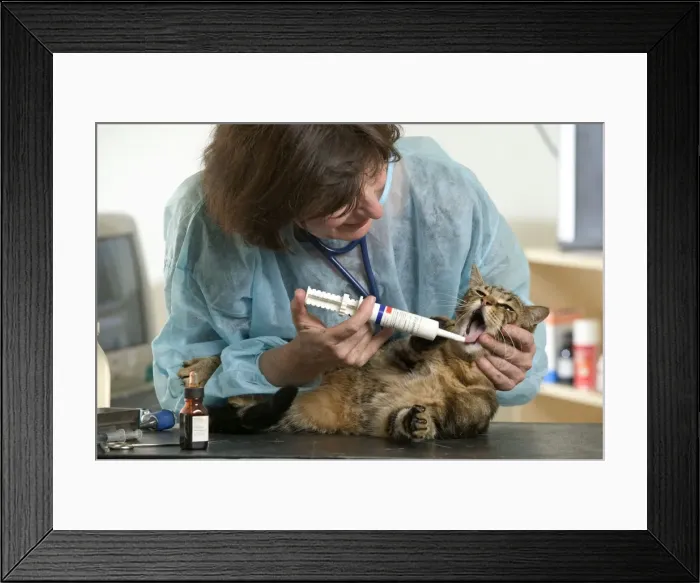 Framed Print : Picture No. 10768663 Framed Print : Picture No. 10768663