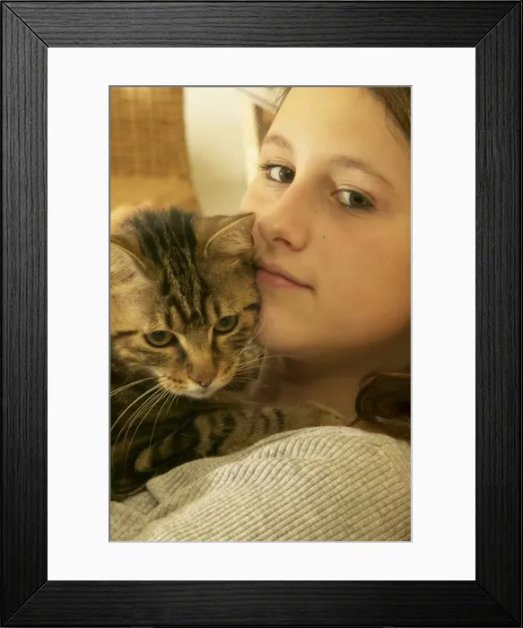 Framed Print : Picture No. 10768667 Framed Print : Picture No. 10768667