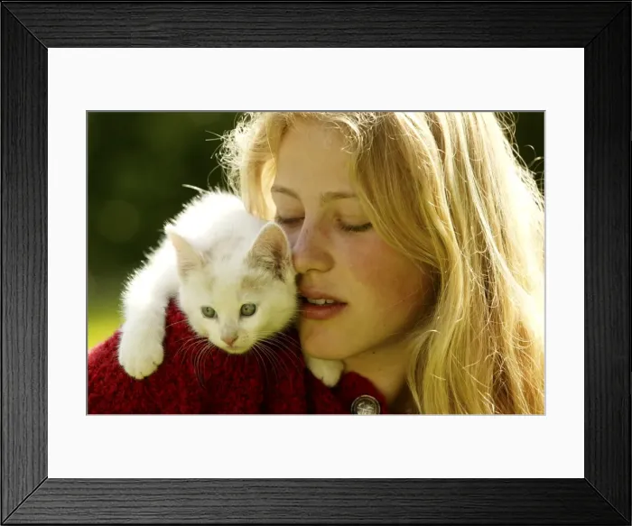 Framed Print : Picture No. 10768668 Framed Print : Picture No. 10768668