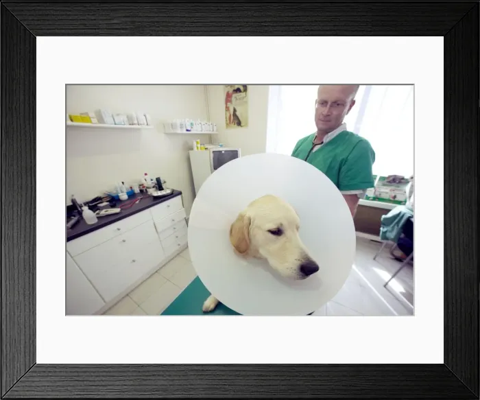 Framed Print : Picture No. 10768705 Framed Print : Picture No. 10768705