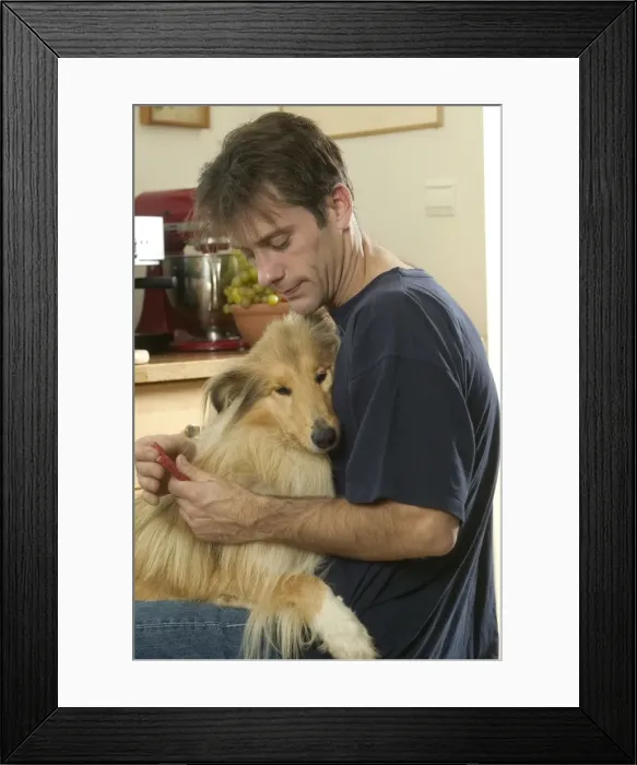 Framed Print : Picture No. 10768780 Framed Print : Picture No. 10768780