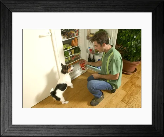 Framed Print : Picture No. 10768781 Framed Print : Picture No. 10768781